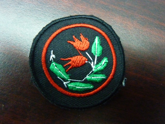 P1140114