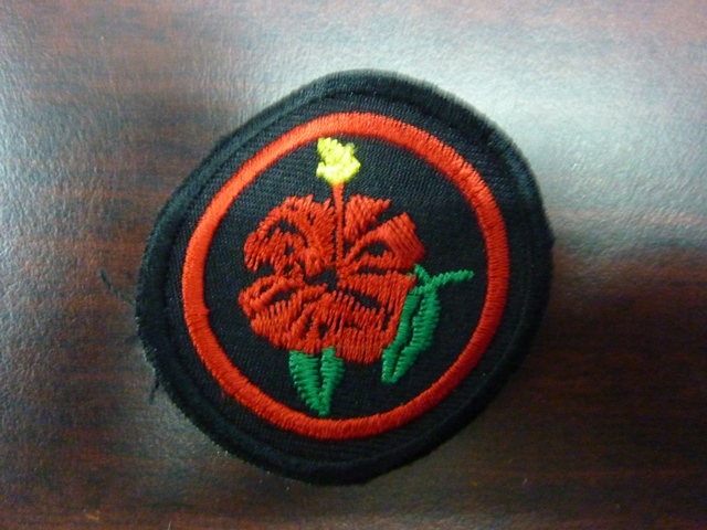P1140123